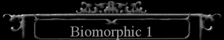  Biomorphic 1 