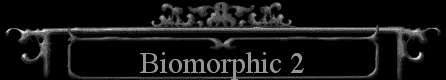  Biomorphic 2 