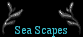  Sea Scapes 