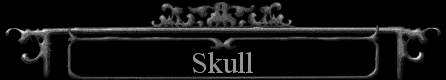  Skull 